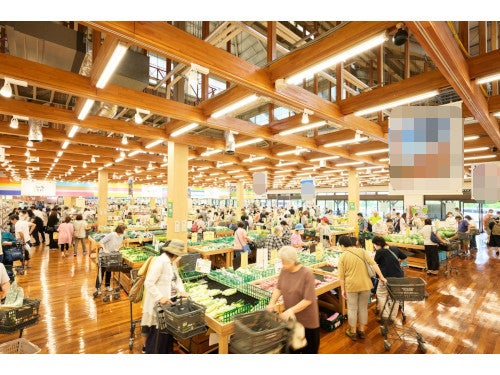 【名古屋・一社発】国産とらふぐ使用!豪華ふぐづくし会席&蒸し牡蠣付きミステリーツアー3